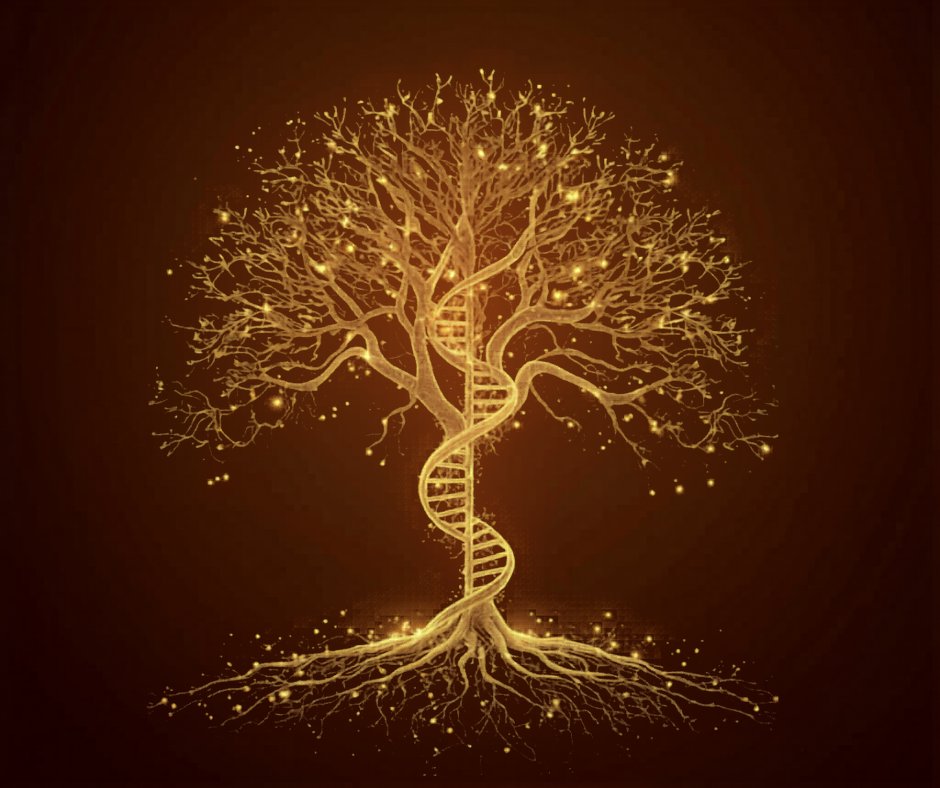 Arbre de Lignée — Chemin vers Soi